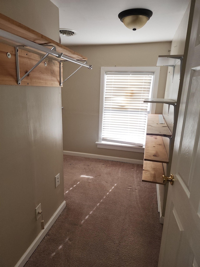 1111 Maple St, Staunton, VA 24401 - walk in closet featuring carpet flooring