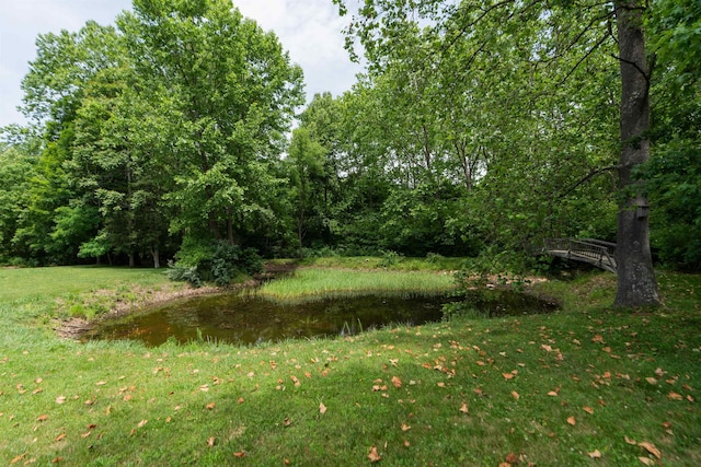 35 Bottom Rd S, Raphine, VA 24472 - view of local wilderness