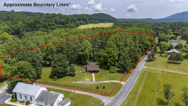 35 Bottom Rd S, Raphine, VA 24472 - aerial view of property's location featuring a heavily wooded area and property boundaries highlighted