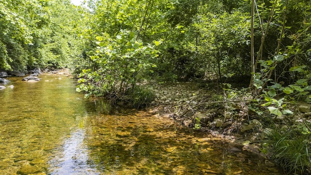 35 Bottom Rd S, Raphine, VA 24472 - view of undeveloped land