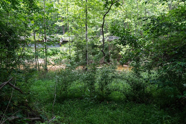 35 Bottom Rd S, Raphine, VA 24472 - view of tree filled area