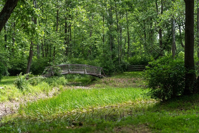 35 Bottom Rd S, Raphine, VA 24472 - view of yard with a wooded view