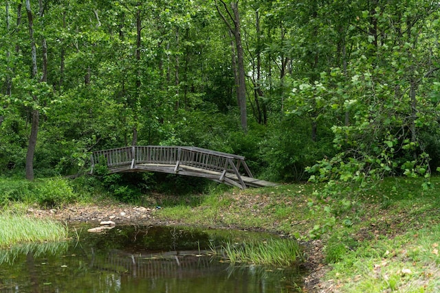 35 Bottom Rd S, Raphine, VA 24472 - surrounding community with a wooded view