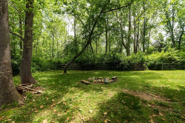 35 Bottom Rd S, Raphine, VA 24472 - view of yard