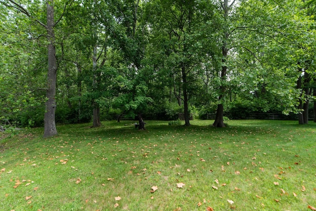 35 Bottom Rd S, Raphine, VA 24472 - view of green lawn