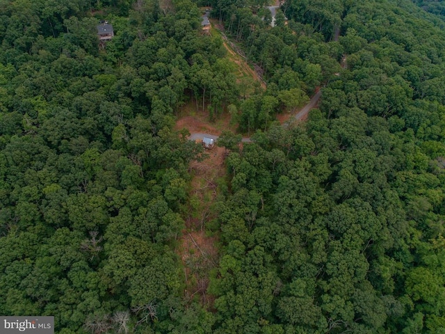 1076 Overlook Dr, Rileyville, VA 22650 - view of property location featuring a forest