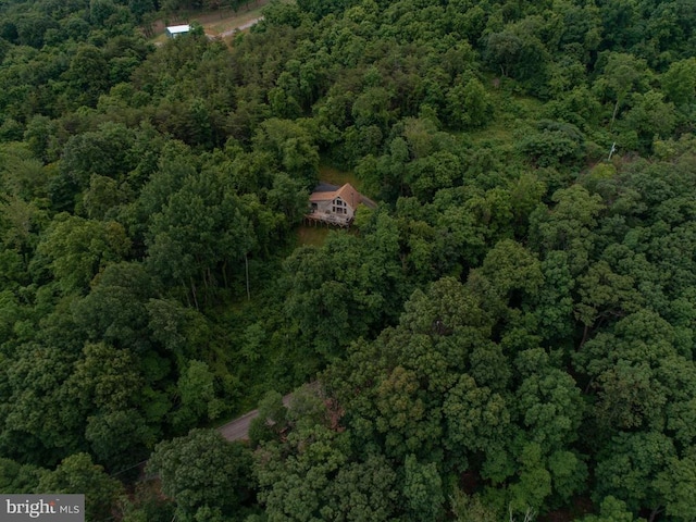1076 Overlook Dr, Rileyville, VA 22650 - view of property location with a heavily wooded area