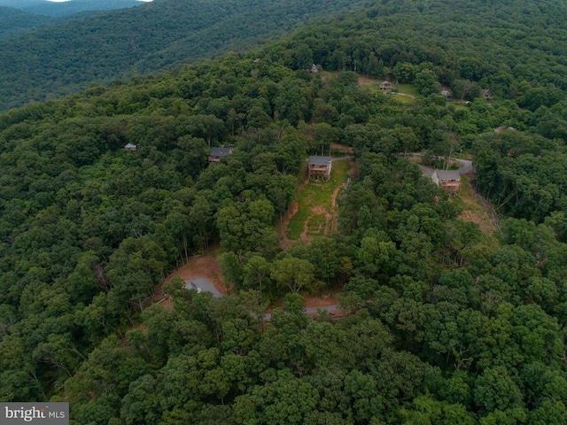 1076 Overlook Dr, Rileyville, VA 22650 - aerial overview of property's location featuring a forest
