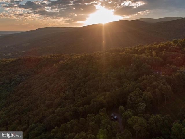 1076 Overlook Dr, Rileyville, VA 22650 - view of mountain backdrop with a heavily wooded area