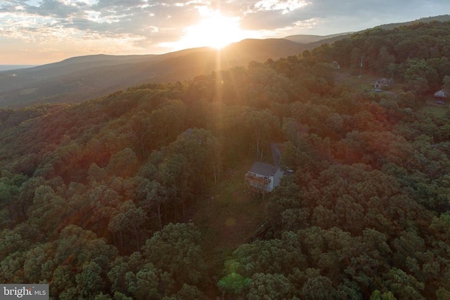 1076 Overlook Dr, Rileyville, VA 22650 - view of mountain backdrop with a forest