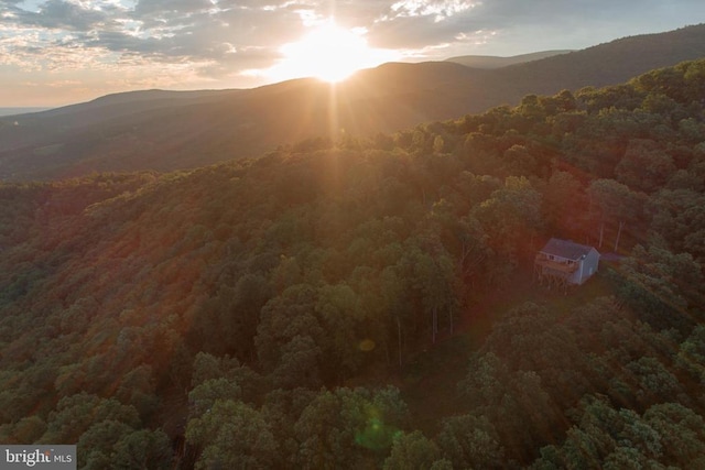 1076 Overlook Dr, Rileyville, VA 22650 - view of mountain backdrop with a forest