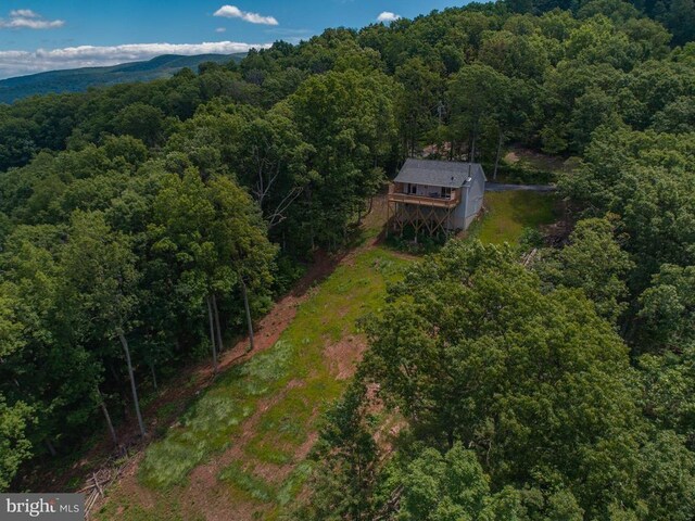 1076 Overlook Dr, Rileyville, VA 22650 - aerial view of property and surrounding area featuring a heavily wooded area