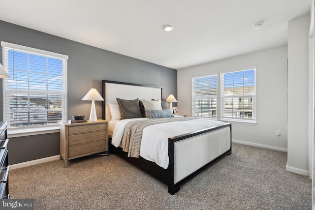 115 Rae Ct, Luray, VA 22835 - carpeted bedroom with baseboards