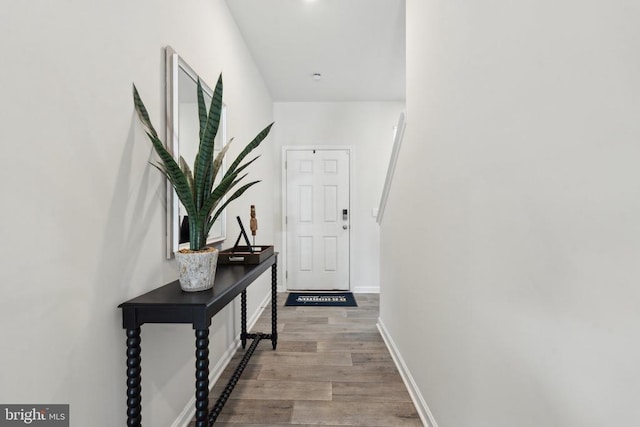 115 Rae Ct, Luray, VA 22835 - doorway to outside with wood finished floors and baseboards