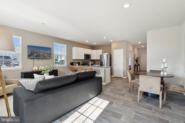 115 Rae Ct, Luray, VA 22835 - living area featuring recessed lighting and light wood-style flooring
