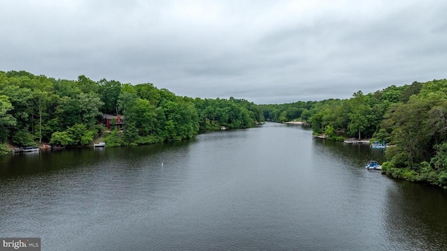 47 Marwood Dr, Palmyra, VA 22963 - water view featuring a heavily wooded area