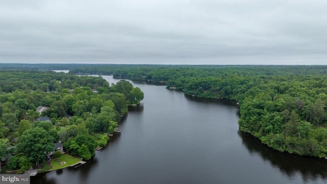 47 Marwood Dr, Palmyra, VA 22963 - aerial view of a heavily wooded area and a large body of water