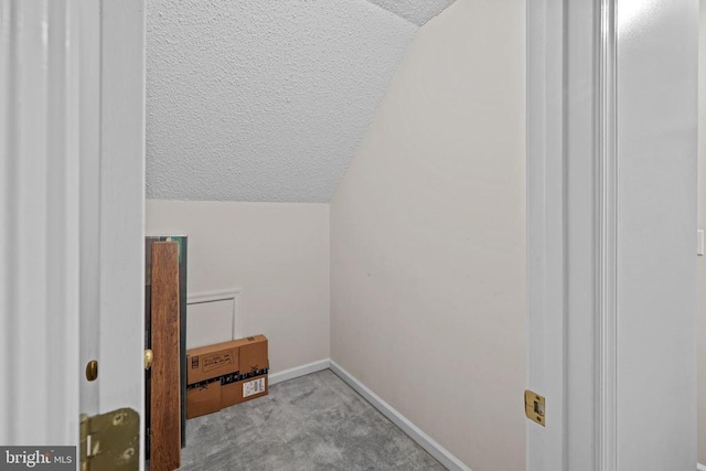 47 Marwood Dr, Palmyra, VA 22963 - additional living space with vaulted ceiling, a textured ceiling, and carpet
