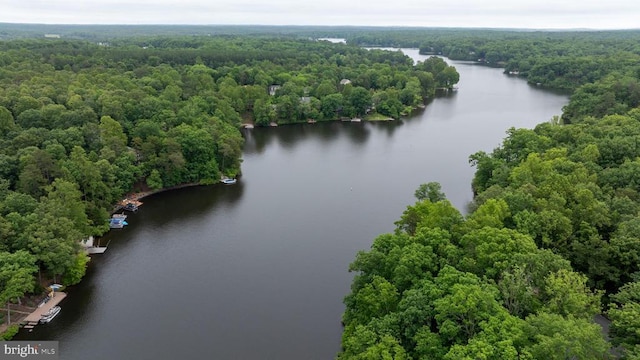 47 Marwood Dr, Palmyra, VA 22963 - drone / aerial view of a nearby body of water and a forest