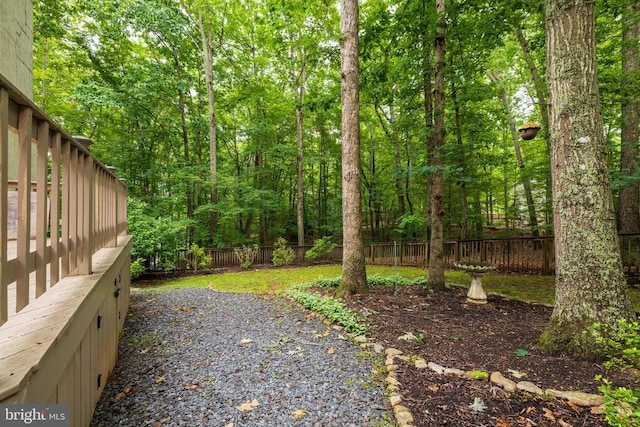 47 Marwood Dr, Palmyra, VA 22963 - view of yard