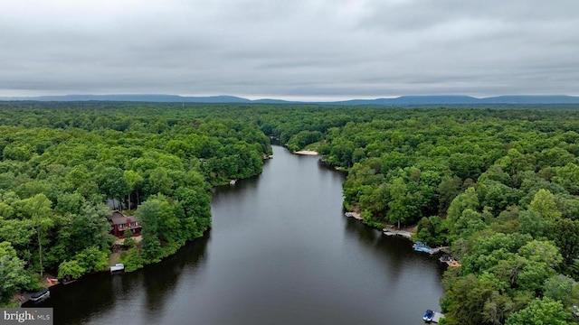 47 Marwood Dr, Palmyra, VA 22963 - bird's eye view of a heavily wooded area and a large body of water