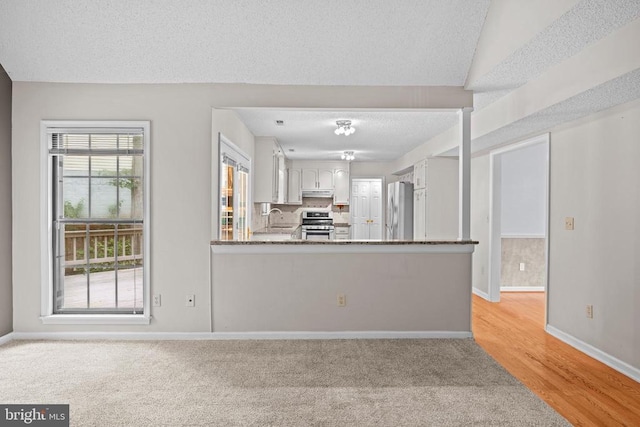 47 Marwood Dr, Palmyra, VA 22963 - kitchen featuring appliances with stainless steel finishes, under cabinet range hood, light colored carpet, a textured ceiling, and stone counters
