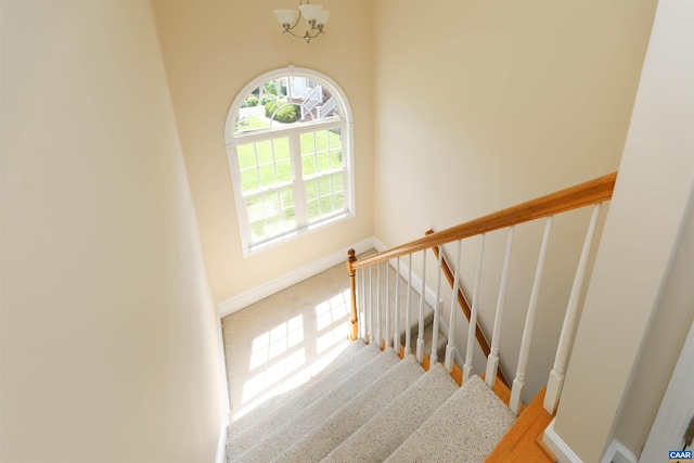 5310 Little Fox Ln, Charlottesville, VA 22903 - photo 19
