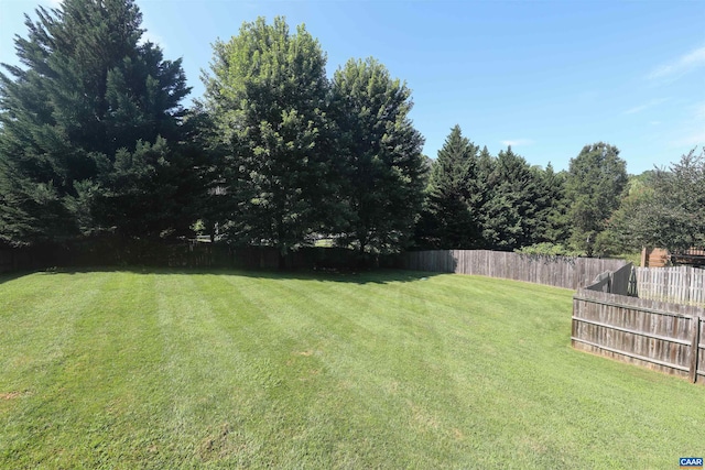 5310 Little Fox Ln, Charlottesville, VA 22903 - photo 41
