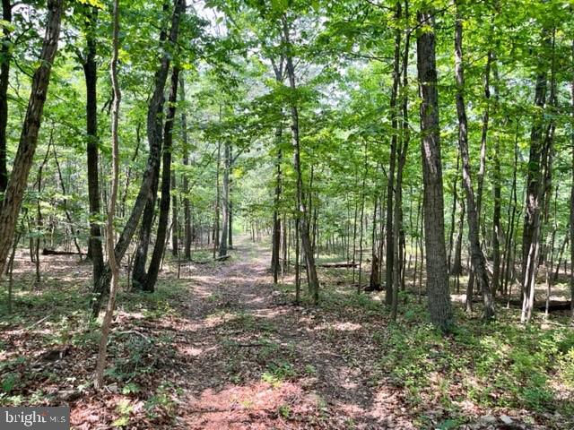 2016 Vaughn Summit Rd, Luray, VA 22835 - photo 10