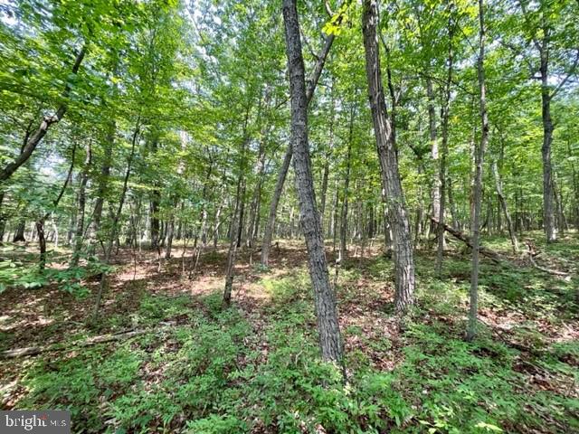 2016 Vaughn Summit Rd, Luray, VA 22835 - photo 7