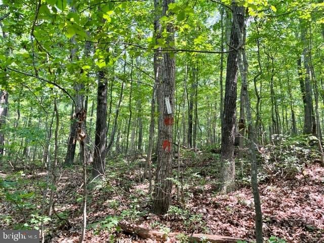 2016 Vaughn Summit Rd, Luray, VA 22835 - photo 2