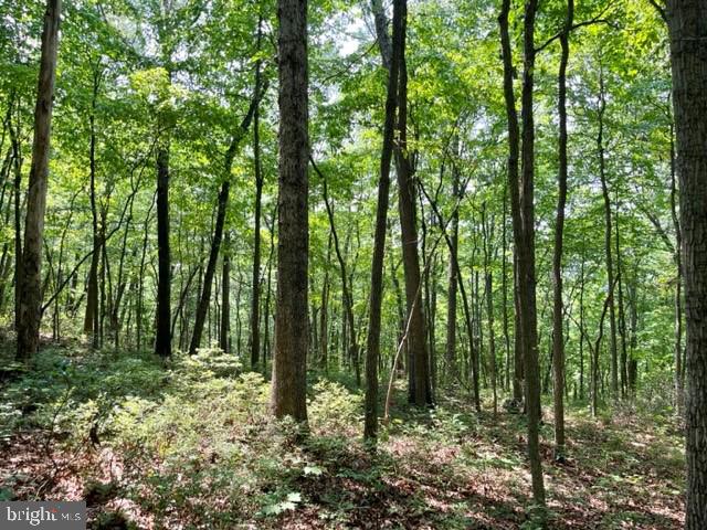 2016 Vaughn Summit Rd, Luray, VA 22835 - photo 4