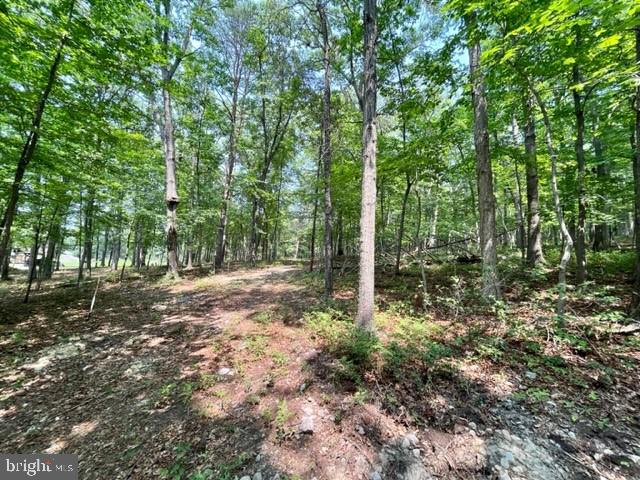 2016 Vaughn Summit Rd, Luray, VA 22835 - photo 8