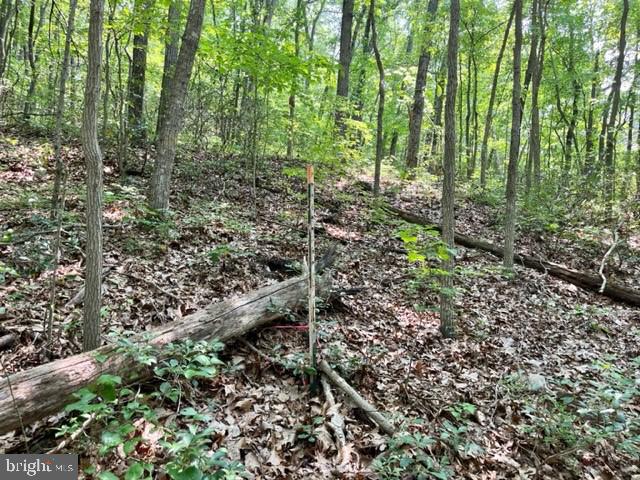 2016 Vaughn Summit Rd, Luray, VA 22835 - photo 5
