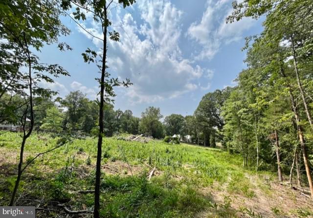 2016 Vaughn Summit Rd, Luray, VA 22835 - photo 1