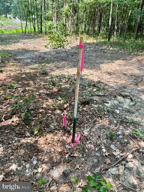 2016 Vaughn Summit Rd, Luray, VA 22835 - photo 9