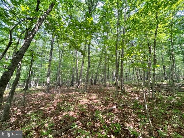 2016 Vaughn Summit Rd, Luray, VA 22835 - photo 6