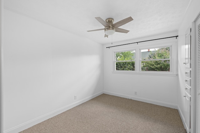 432 Arch Ave, Waynesboro, VA 22980 - photo 29