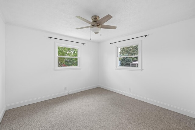 432 Arch Ave, Waynesboro, VA 22980 - photo 16