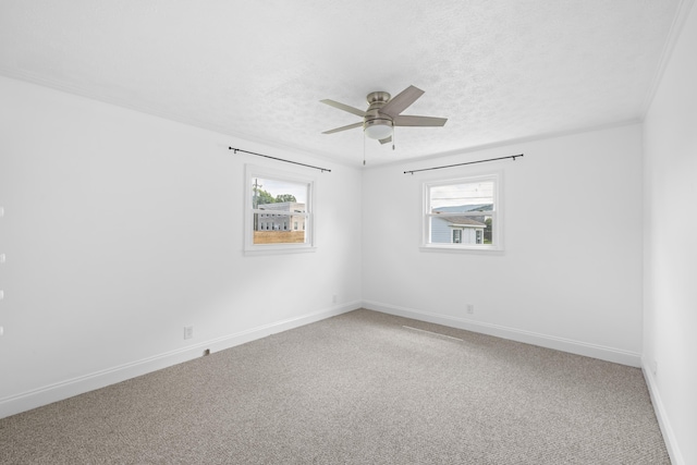 432 Arch Ave, Waynesboro, VA 22980 - photo 22