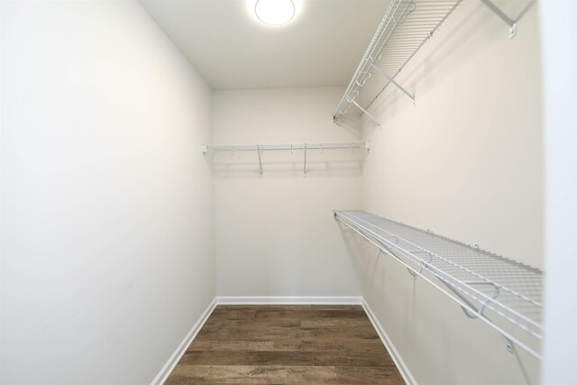 walk in closet with dark hardwood / wood-style floors