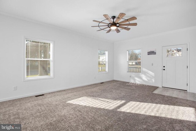 828 Mineral Ave, Mineral, VA 23117 - photo 10