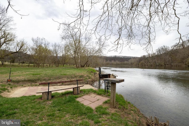 145 Colwood Dr, Rileyville, VA 22650 - exterior space with a forest view, a water view, a lawn, and a boat dock