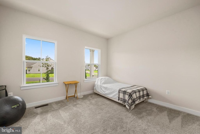15095 Ridge Blvd N, Culpeper, VA 22701 - photo 22