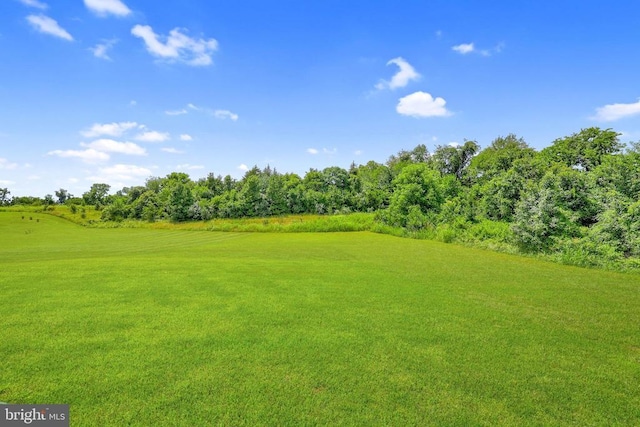 15095 Ridge Blvd N, Culpeper, VA 22701 - photo 46