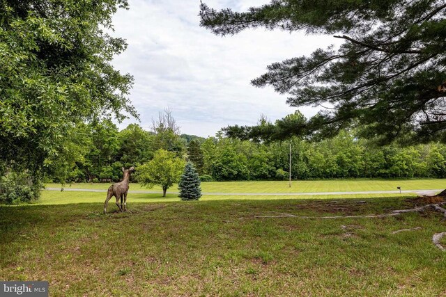 235 Parkview Estates Rd, Luray, VA 22835 - photo 48