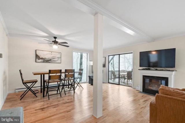 dining space with light wood finished floors, a fireplace with flush hearth, ornamental molding, and a ceiling fan