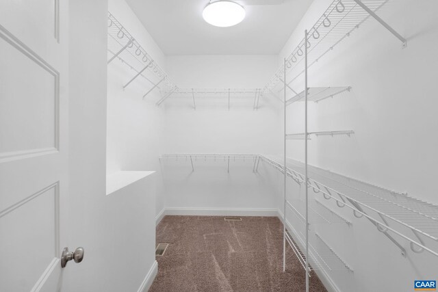 6169 Community House Rd, Columbia, VA 23038 - spacious closet with carpet floors