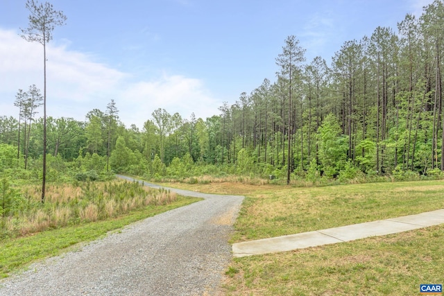6169 Community House Rd, Columbia, VA 23038 - view of road with a forest view