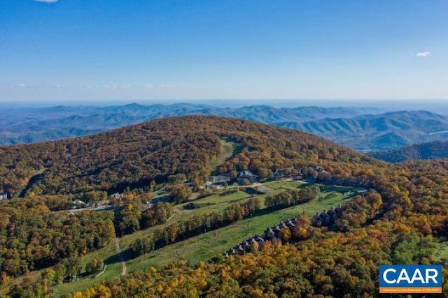 224 Cedar Dr, Roseland, VA 22958 - photo 4
